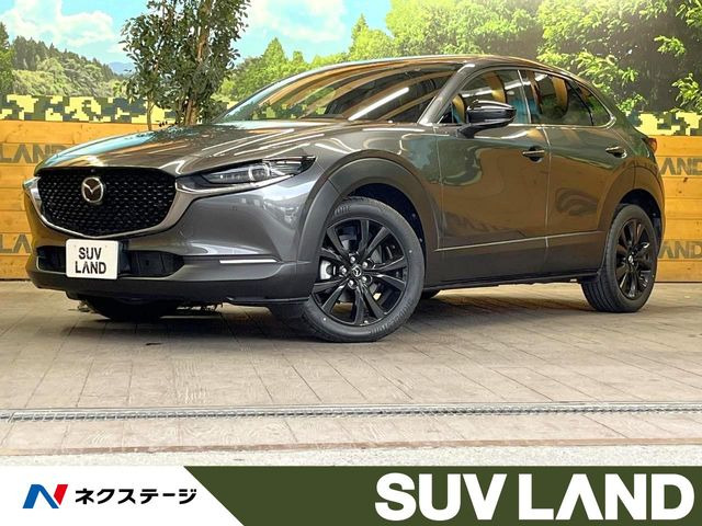 CX-302.0 20S ブラックトーンエディション