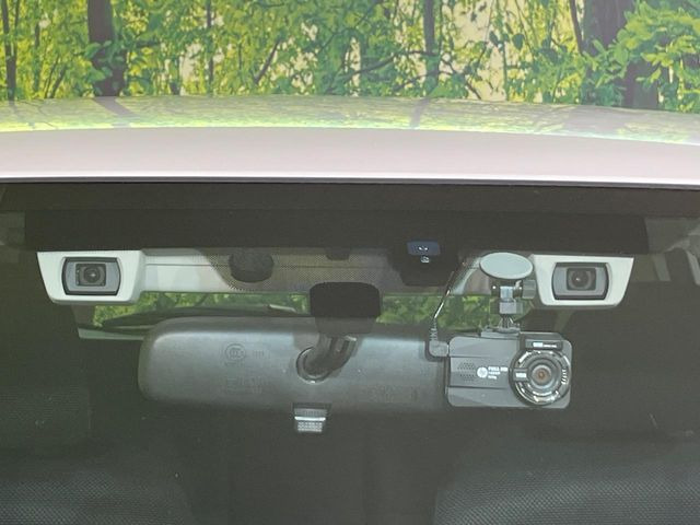 XV