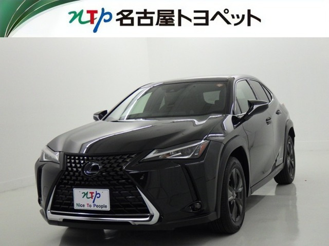 UX250h バージョンC