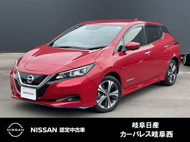 リーフe+ X