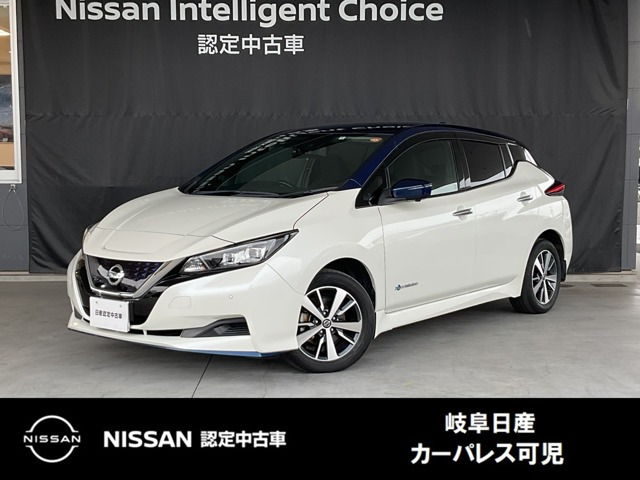 リーフe+ X