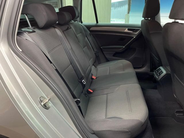 ���㕔���Ȃ��C�ɂȂ�悤�ȃL�Y�E�����ւ��蓙�A�傫�ȃ_���[�W�͂Ȃ��A�ǍD�ȏ�Ԃł��B