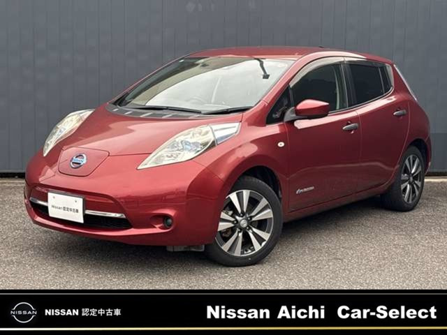 リーフ30kWh X サンクス エディション