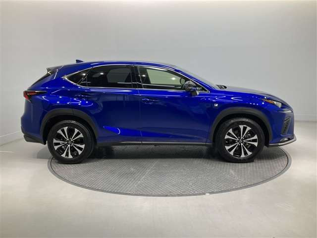 NX300 Fスポーツ