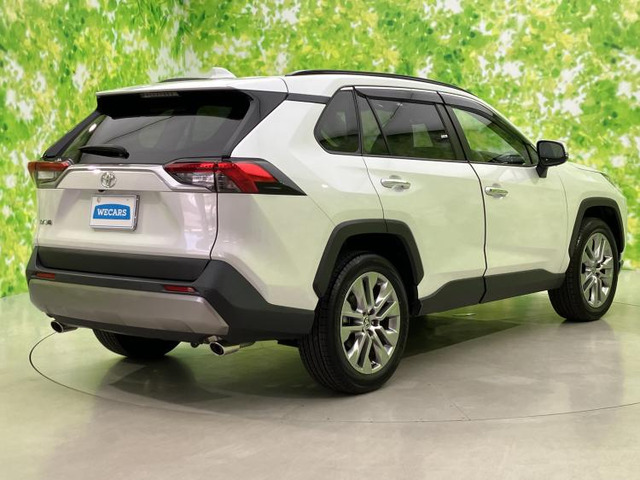 RAV42.0 G Zパッケージ 4WD