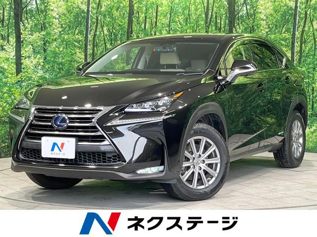 NX300h Iパッケージ