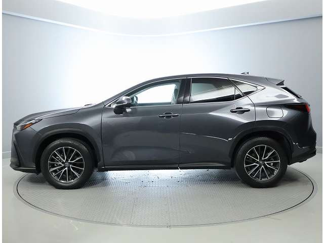 NX