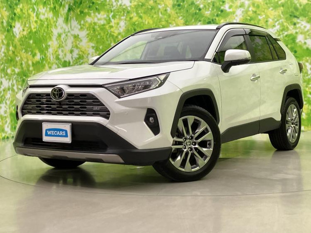 RAV42.0 G Zパッケージ 4WD