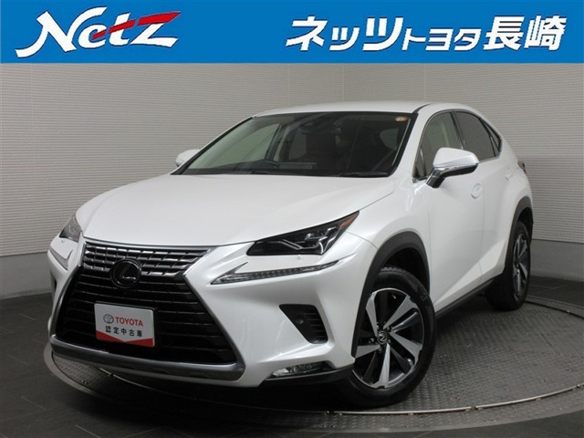 NX300 Iパッケージ