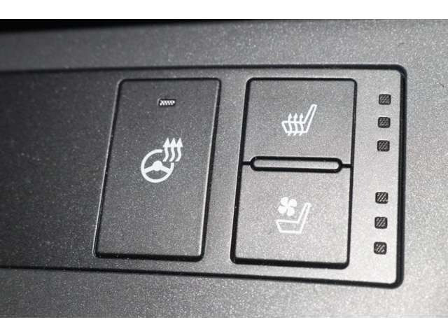 IS300h Fスポーツ