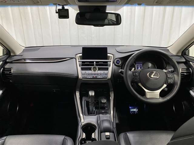 NX300h バージョンL 4WD
