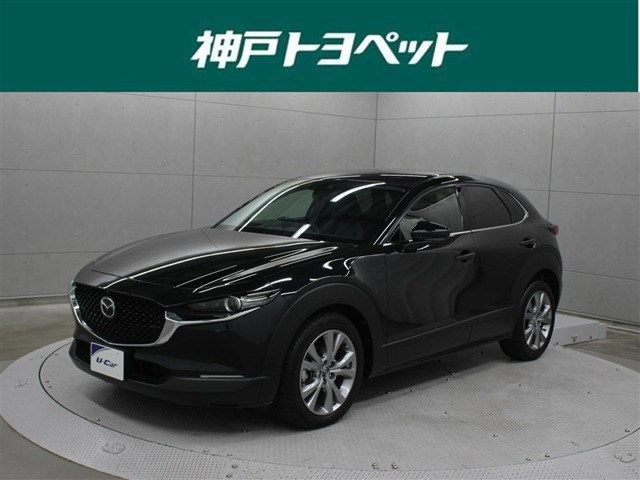 CX-301.8 XD Lパッケージ