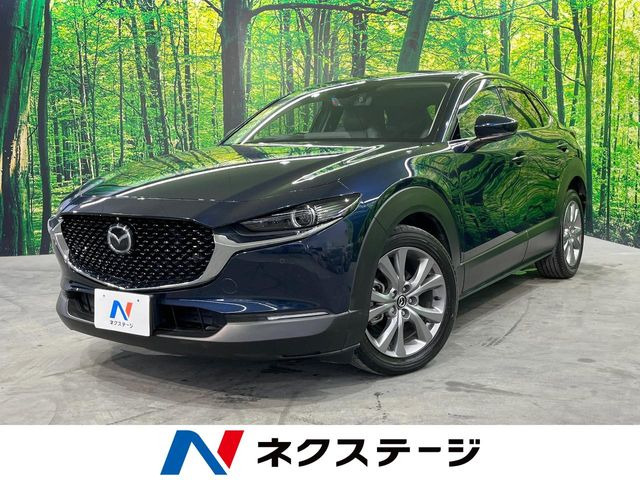 CX-301.8 XD Lパッケージ