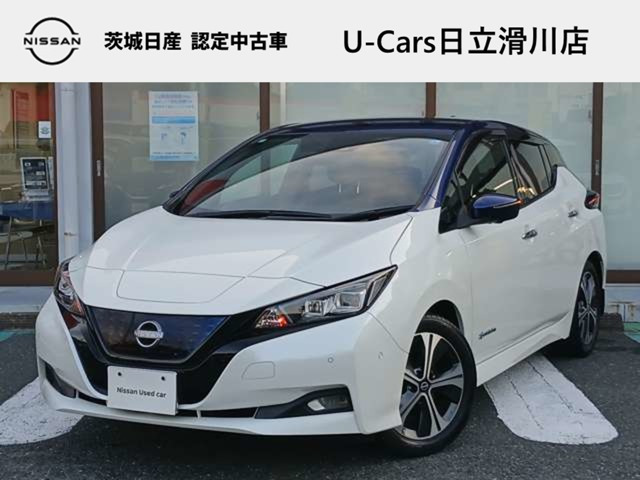リーフG
