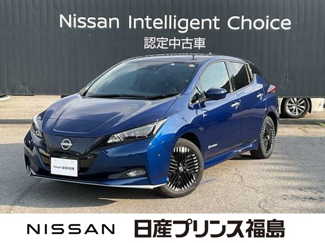リーフe+ G