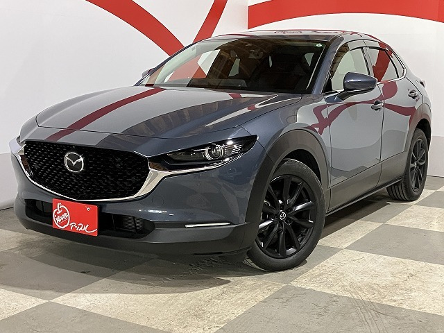 CX-302.0 20S プロアクティブ ツーリングセレクション 4WD