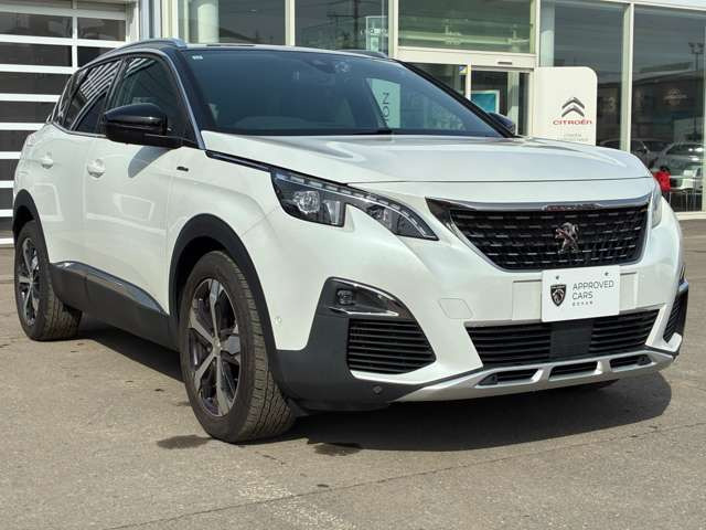 3008GTライン