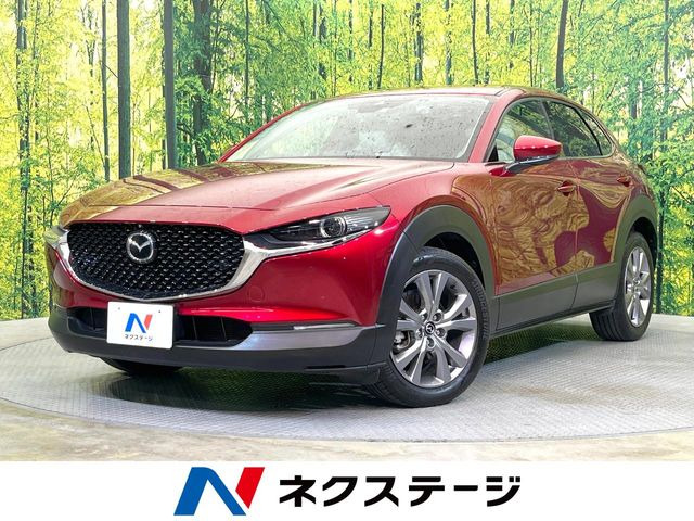 CX-30�i�}�c�_�j2.0 20S L�p�b�P�[�W ���Îԉ摜