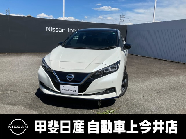 リーフe+ G