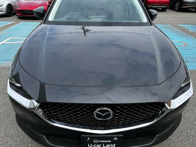 CX-30
