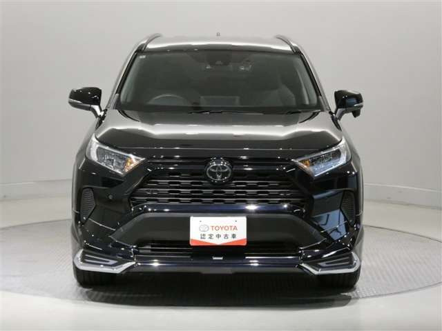 RAV42.0 X