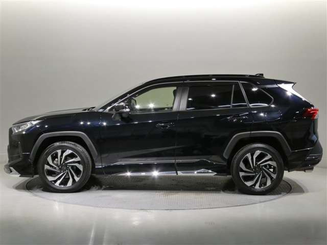 RAV42.0 X