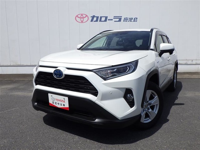 RAV42.5 ハイブリッド X