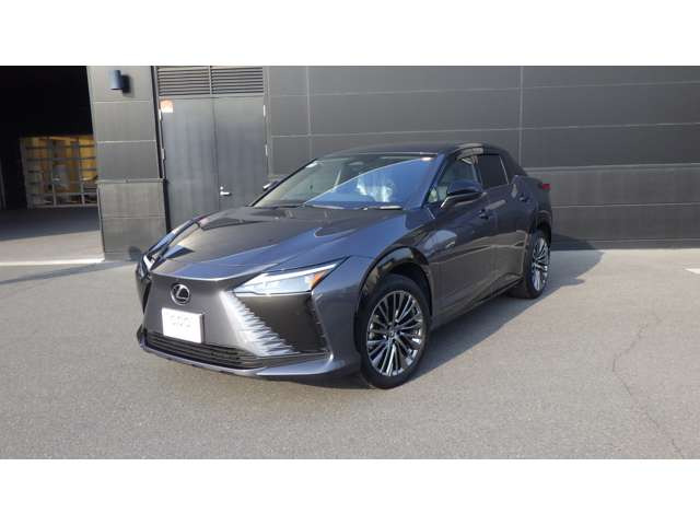 RZ300e バージョンL