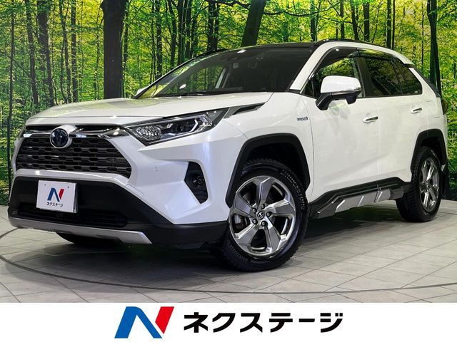 RAV42.5 ハイブリッド G E-Four 4WD