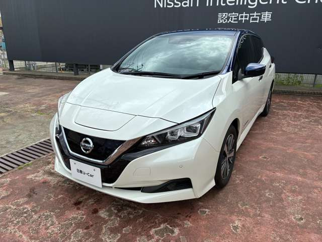 リーフX