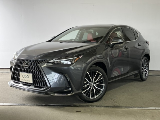 NX