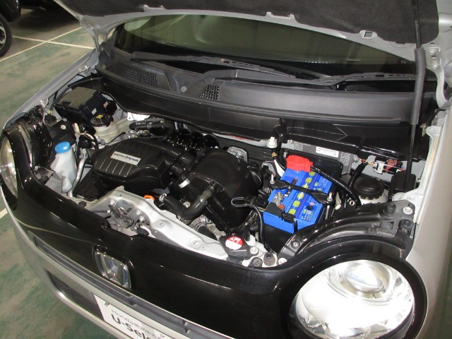 N-ONEG
