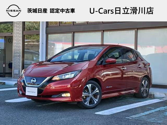 リーフG