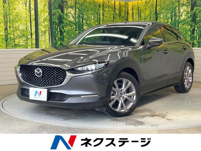 CX-302.0 20S プロアクティブ ツーリングセレクション