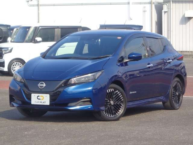 リーフ
