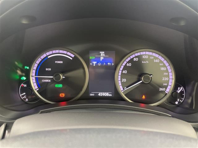 NX300h Fスポーツ