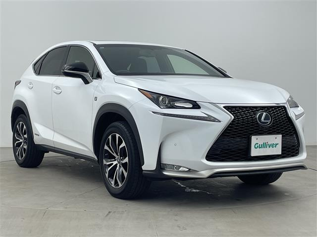 NX300h Fスポーツ