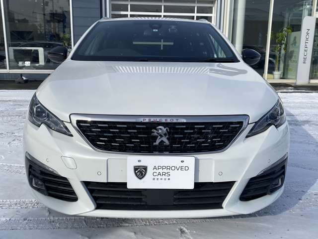 308SW