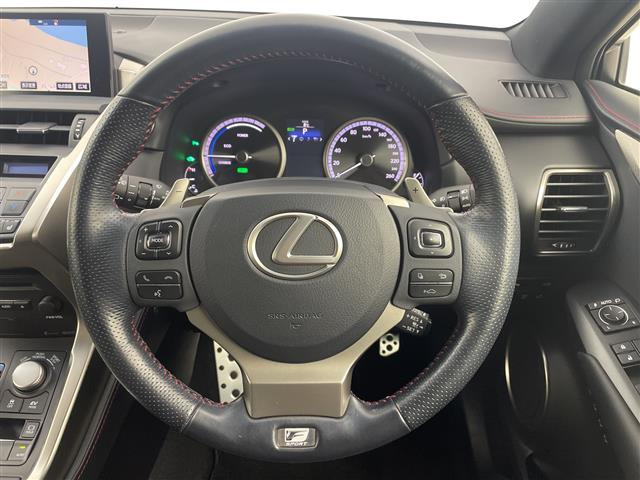 NX300h Fスポーツ