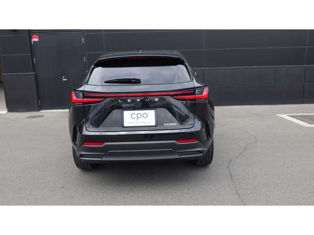 NX250 バージョンL