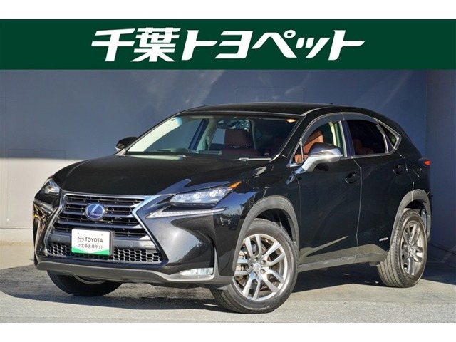 NX300h Iパッケージ
