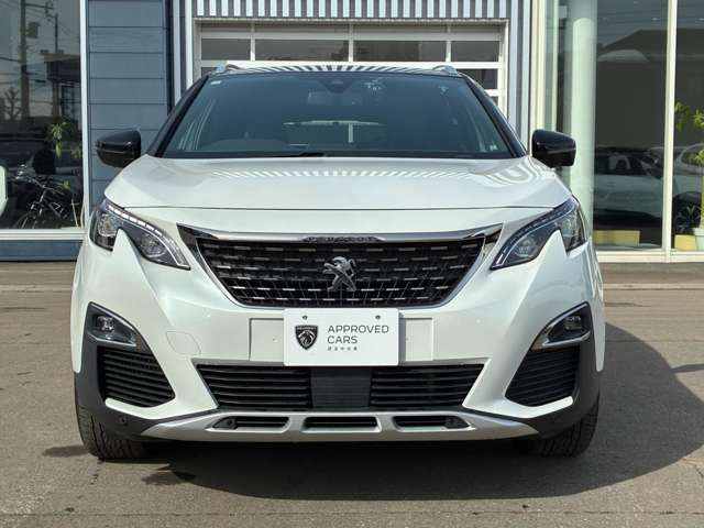 3008GTライン