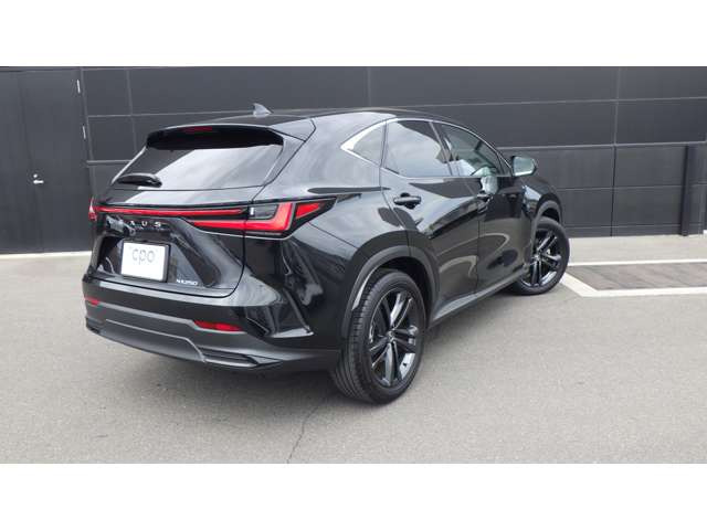 NX250 バージョンL