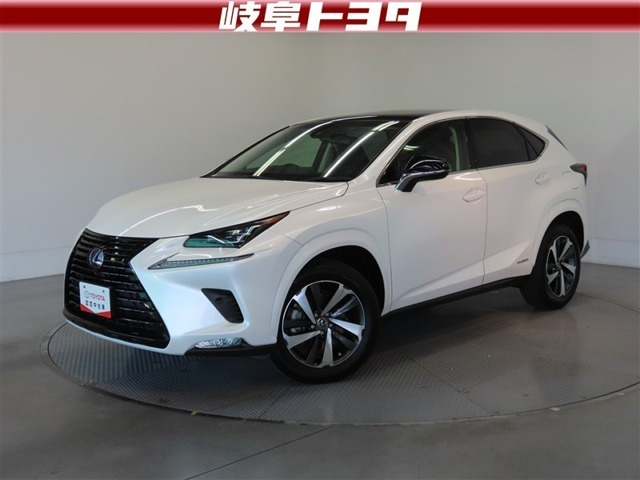 NX300h