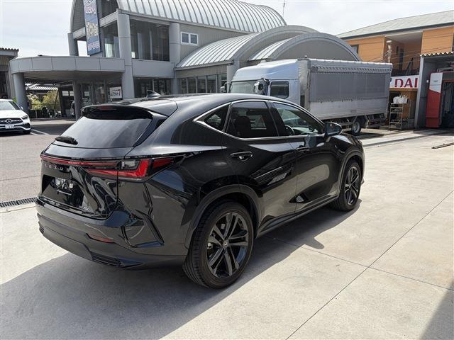 NX250 バージョンL
