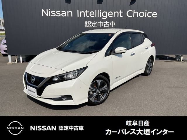 リーフX