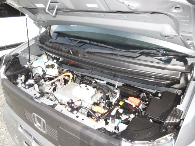 N-VAN e:e: L4