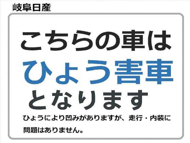 リーフe+ G