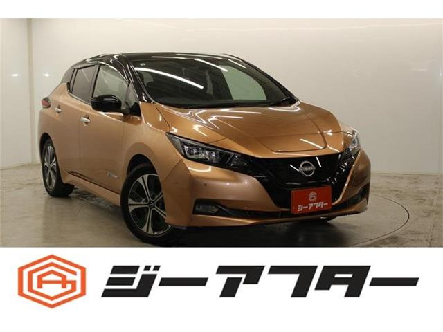 ���[�t�i���Y�je+ G ���Îԉ摜