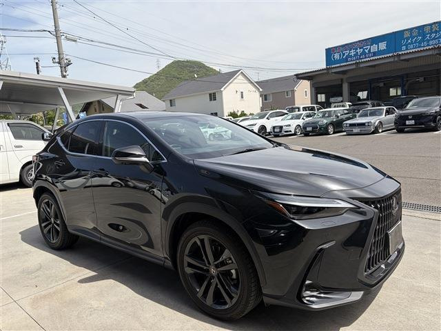 NX250 バージョンL